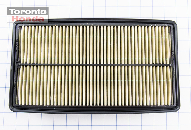 17220RGLA10 - Maintenance &amp; Lubrication: Air Filter for Honda: Odyssey Image