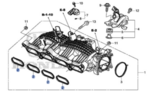 171055AA004 - Engine: Intake Manifold Gasket for Honda: Accord, Civic, CR-V Image