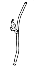 Dips pro X トゥルーホワイト 00U Amazon.com: NICHE Throttle Cable for Yamaha PW80 Y-Zinger