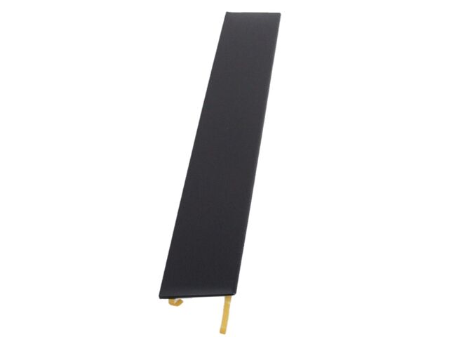 2018-2025 Toyota Camry Front Door Window Frame Molding Rear Driver