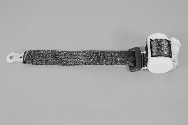 1EM331K5AB - Restraints: Swivel Seat Seat Belt, Left for Chrysler: Town &amp; Country | Dodge: Grand Caravan Image