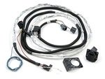 82210214AD - : Hitch Wiring for Jeep: Wrangler, Wrangler JK Image