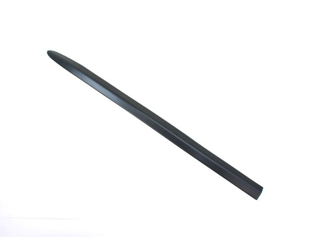 55077174AD - Exterior Ornamentation: Front Door Molding for Mopar Image
