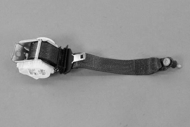 1SV69DX9AC - Restraints: 2nd Row Seat Belt And Retractor, Outboard for Mopar Image