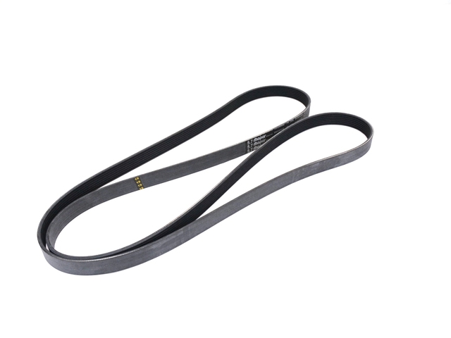 53032805AB - Electrical: Accessory Drive Belt for Mopar Image