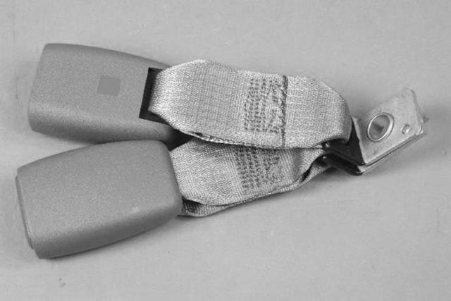 5HP171D1AB - Restraints: Two Buckles Seat Belt for Mopar Image