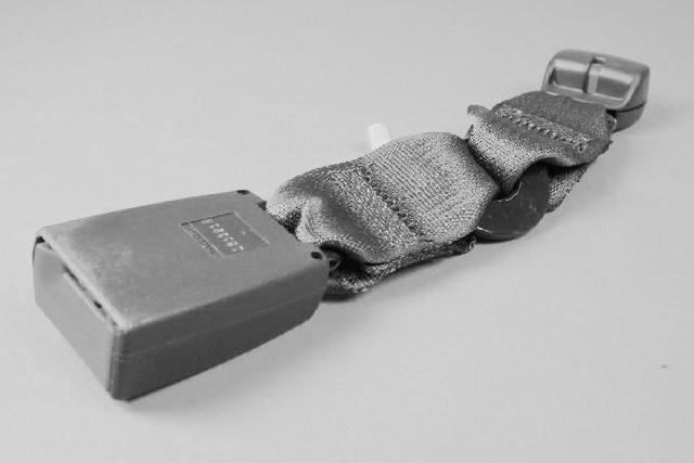 ZV911K5AA - Restraints: Inner Seat Belt, Left for Chrysler: Town &amp; Country | Dodge: Grand Caravan Image