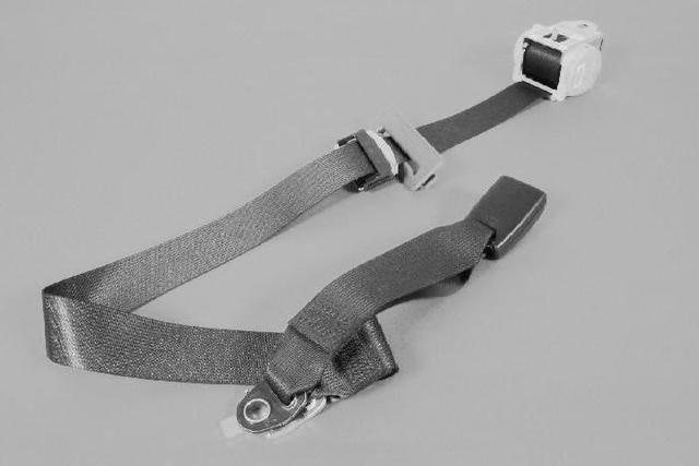 1BY501DVAD - Interior Trim: Rear Inner Seat Belt for Chrysler: 300 | Dodge: Challenger, Charger Image