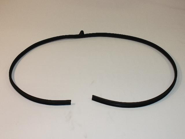 1JG12XXXAG - Doors, Door Mirrors and Related Parts: Front Door Opening Weatherstrip for Chrysler: Town &amp; Country | Dodge: Grand Caravan | Ram: C/V Image