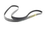4593814AA - : Accessory Drive Belt for Chrysler: Pacifica Image