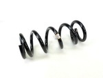 55398388AD - Front Suspension: Front Coil Spring for Mopar Image