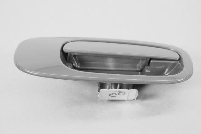 1NS92GBSAA - Doors, Door Mirrors and Related Parts: Exterior Door Handle, Right for Mopar Image