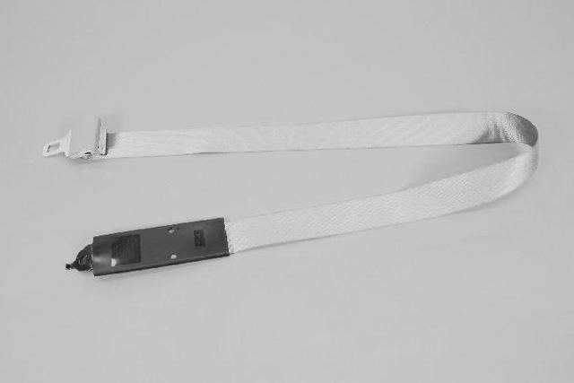 5GW301J3AC - Interior Trim: Tip Half Seat Belt, Center for Mopar Image