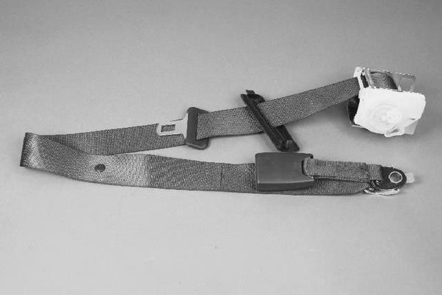 UW811DVAE - Interior Trim: Rear Seat Belt for Chrysler: 300 | Dodge: Charger Image