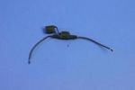 68250494AA - : Fuse Holder for Ram: 1500, 1500 Classic, 2500, 3500 Image