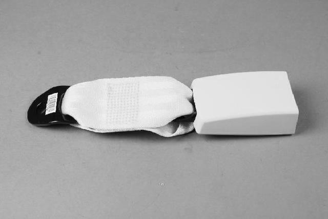1AN181X5AA - Restraints: Rear Inner Seat Belt, Right for Mopar Image