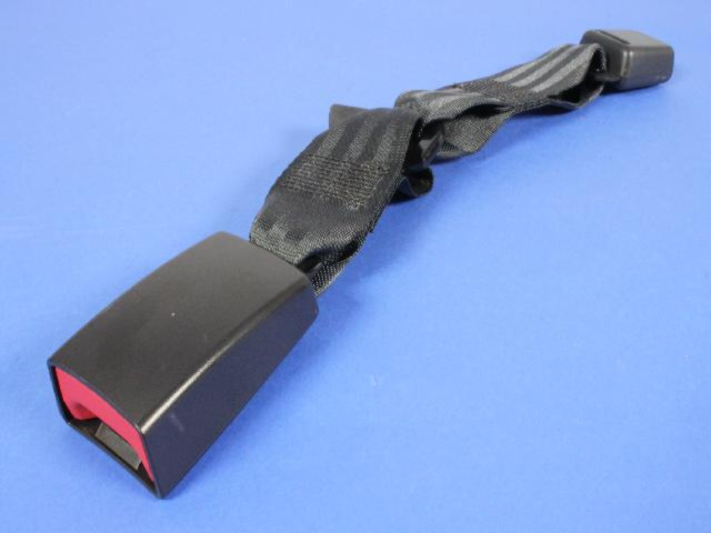 1FR741DVAB - Restraints: Rear Inner Seat Belt, Right for Mopar Image
