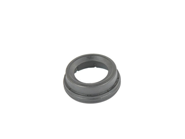2016-2025 MOPAR Seal, Right Side 4893803AA | My Mopar Parts