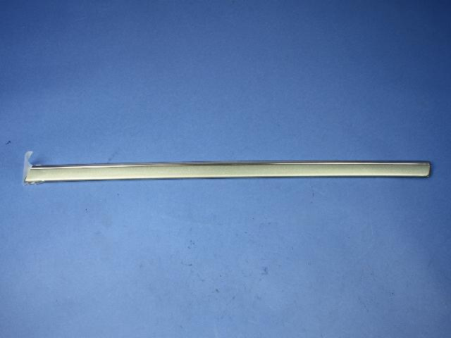 WG21AP4AC - Exterior Ornamentation: Rear Door Molding, Left for Chrysler: 300 | Dodge: Charger, Magnum Image