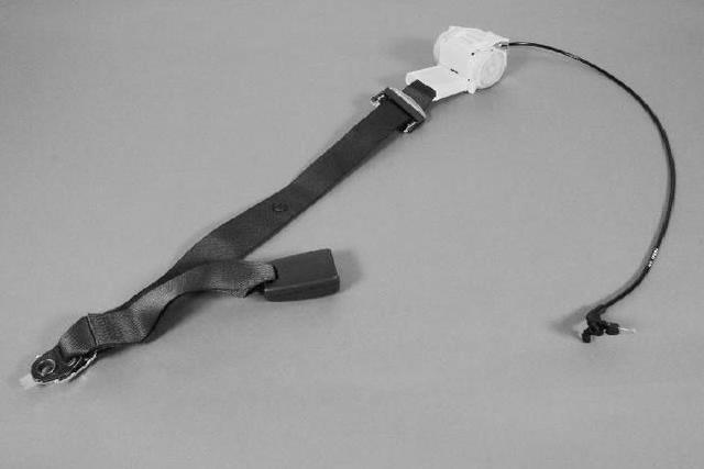 1BY48BD1AB - Interior Trim: Rear Seat Belt for Mopar Image