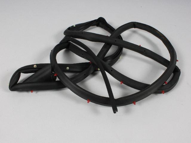 5065164AI - Doors and Related Parts: Rear Door Mounted Weatherstrip, Right for Chrysler: 300 | Dodge: Charger, Magnum Image
