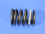 53021056 - : Valve Spring for Dodge: Dakota, Durango, Ram 1500, Ram 2500, Ram 3500 Image