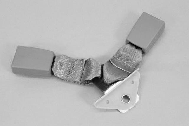 1CA871K5AA - Restraints: 2 Passenger Inner Seat Belt for Chrysler: Town &amp; Country | Dodge: Grand Caravan Image