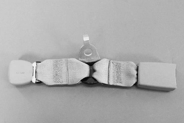 ZV911T1AA - Restraints: Inner Seat Belt, Left for Chrysler: Town &amp; Country | Dodge: Grand Caravan Image