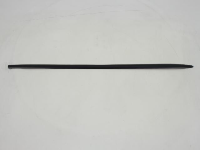 XV16TZZAA - Exterior Ornamentation: Body Side Molding for Mopar Image