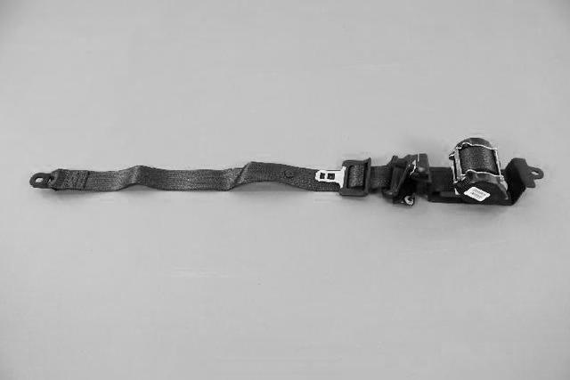 TS761L2AE - Interior Trim: Rear Seat Belt, Right for Mopar Image