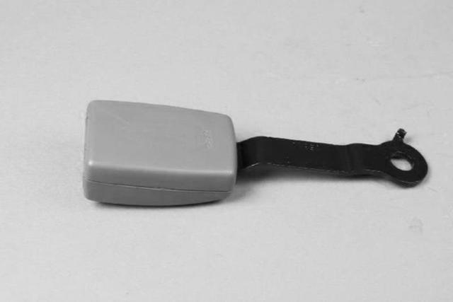 5JF151D1AB - Interior Trim: Rear Inner Seat Belt for Mopar Image