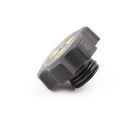 68442532AA - Cooling: Coolant Recovery Bottle Cap for Chrysler: Pacifica, Voyager | Dodge: Durango | Jeep: Cherokee, Compass, Gladiator, Grand Cherokee, Grand Cherokee L, Grand Cherokee WK, Wrangler | Ram: 1500, 2500, 3500 Image