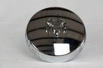52106876AD - : Wheel Cap [Front] for Dodge: Ram 3500 | Ram: 3500 Image