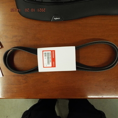                                    Serpentine Belt
                                