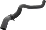 21503ZS00A - : Lower Hose for Nissan Image