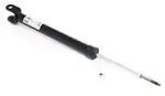 E62104RC0B - Suspension: Shock for Nissan Image image