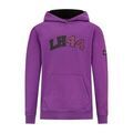145321701 - : Lewis Hamilton LH44 Hoodie for Mercedes-Benz Image