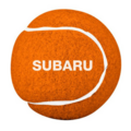730588 - : Dog Tennis Ball for Subaru Image