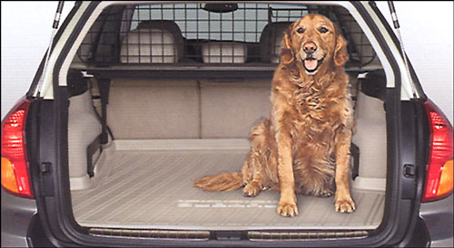 F551SAJ400 - Interior: COMPARTMENT SEPARATOR  KIT for Subaru Image