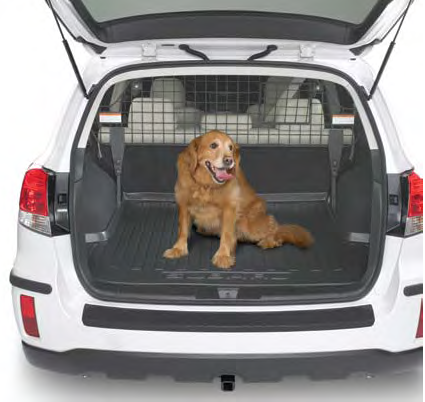 F551SAJ401 - Interior: Compartment Separator / Available for Pick Up in CT Only for Subaru Image