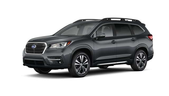 SOA801P040M4 - Exterior: DOOR EDGE GUARD KIT MAGNETITE GRAY METALLIC  / ASCENT for Subaru Image