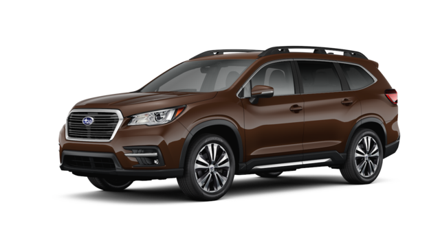 SOA801P040Q6 - Exterior: DOOR EDGE GUARD KIT CINNAMON BROWN / ASCENT for Subaru Image