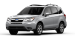 J101SSG703TR - Exterior: Body Side Molding - Ice Silver Metallic for Subaru Image