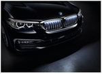 63172466430 - : Front Ornamental Grille Icon 519060 (G30) 5 Series for BMW Image