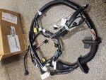 241254BA0D - : Harness Assembly-Door, Front for Nissan Image
