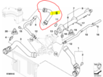 11537830713 - Cooling System: Upper Hose for BMW: M3 Image