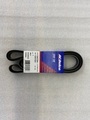 12637204 - Cooling System: Belt for GM Image