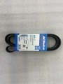 12669858 - Cooling System: Serpentine Belt for GM Image