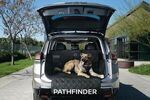 T99C36TA0P - : Pet Cargo Area Protector for Nissan Image