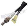 25024372 - : Walker Products 250-24372 Oxygen Sensor 4-W Direct Fit Narrow-Band for Walker Products Inc. - Image